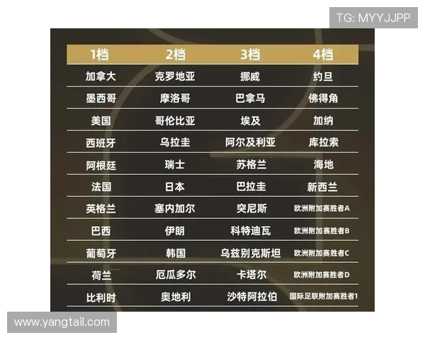 2026世界杯规则下席位怎么排